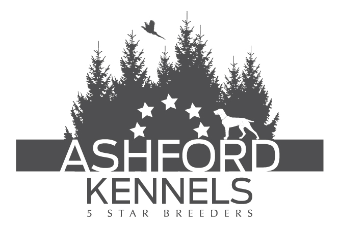 Ashford Kennels