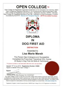 dog_first_aid dog_first_aid