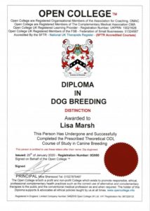 88265867_209068287133754_6385309505093107712_n