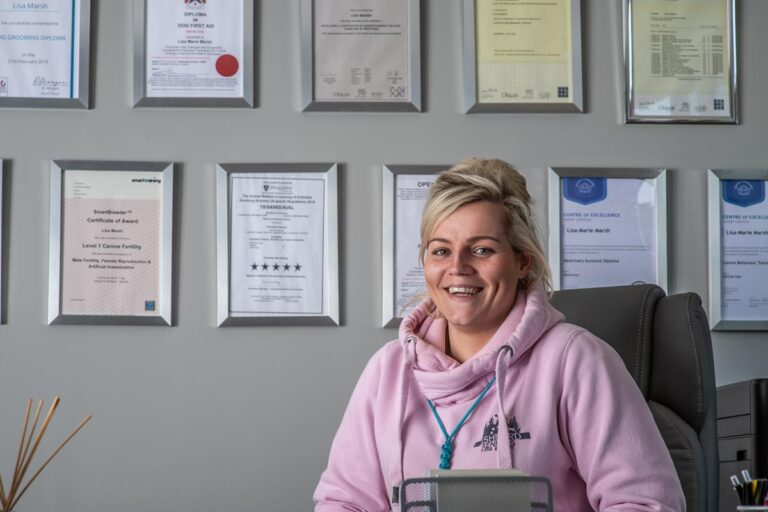 About Ashford Kennels